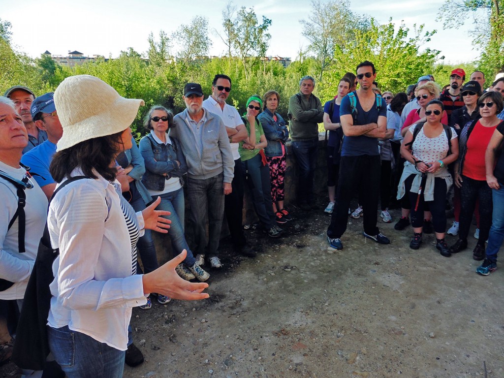 Por la ribera del Guadalquivir y los caminos a Medina Azahara. Paseos de Jane Córdoba 2017