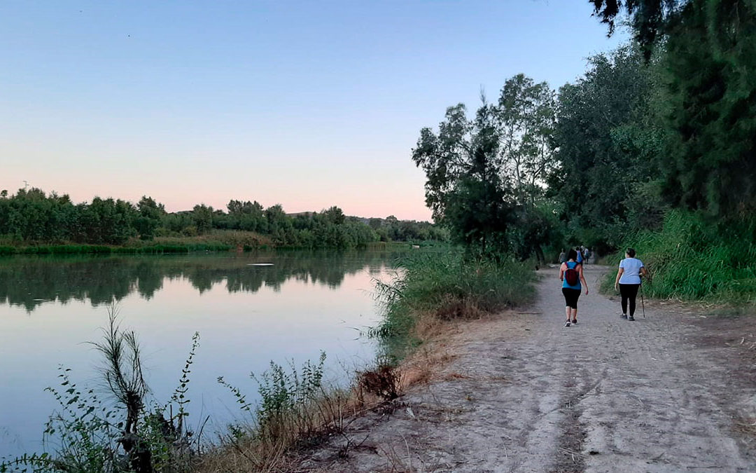 Paseo por la ribera del Guadalquivir. El camino de las almunias.