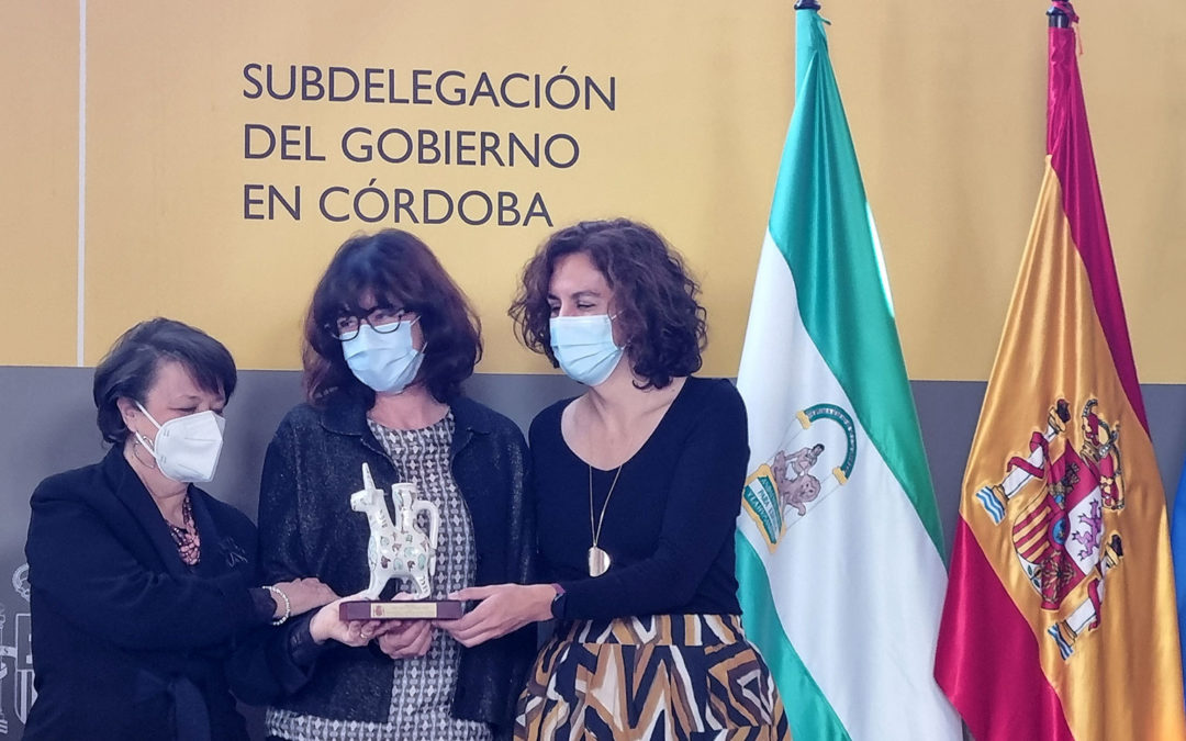 Amigos de Medina Azahara recoge el Premio Plaza de la Constitución